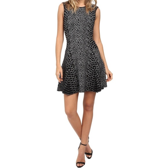 Sam Edelman Selby Jacquard Black and White Dress Fit and Flare Small - Picture 1 of 6